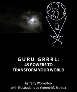 Guru Grrl Book Cover