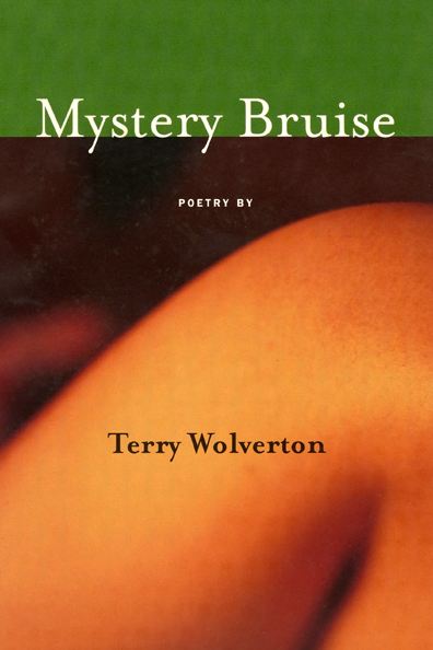 Front cover for Mystery Bruise