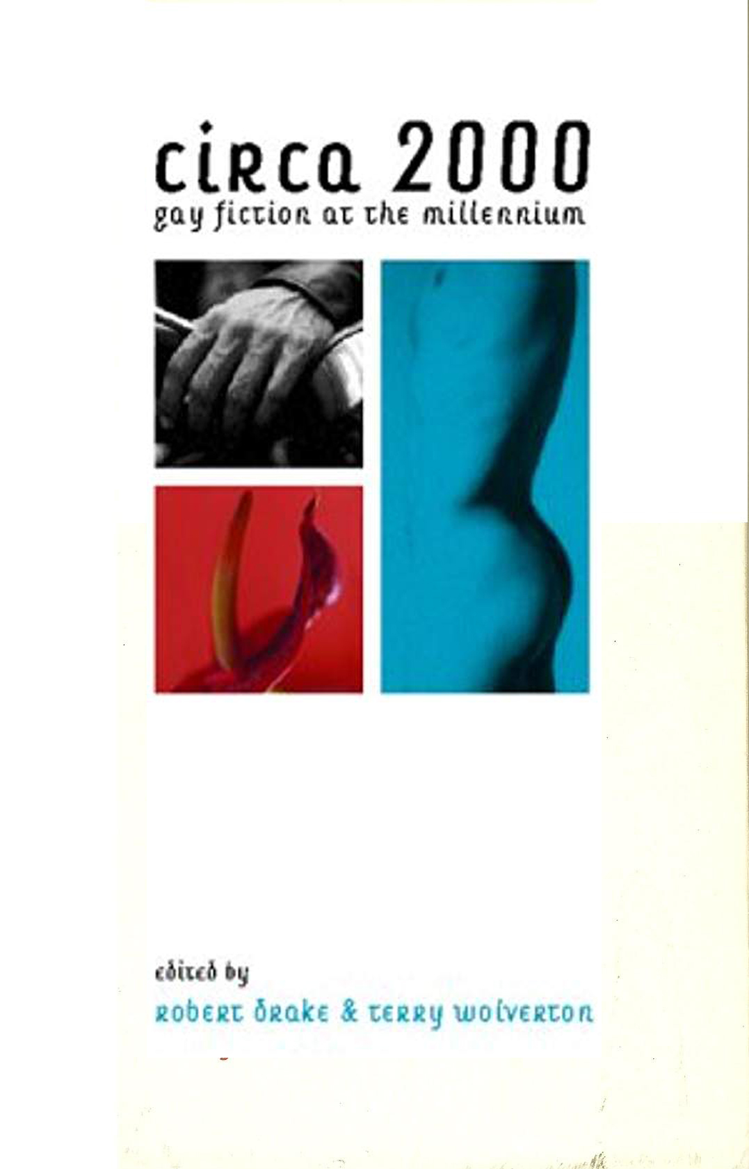 Circa 2000, Gay Fiction at the Millenium